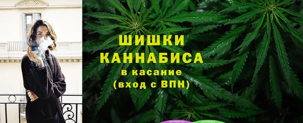 mdpv Гусиноозёрск