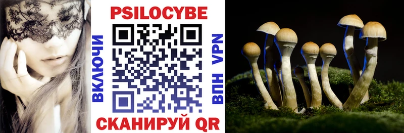 Галлюциногенные грибы Cubensis Яхрома